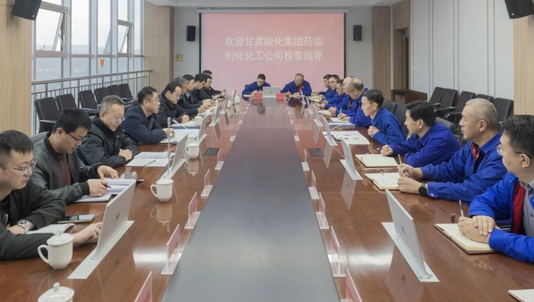 甘肅能化集團檢查組到劉化化工公司開展2025年度項目建設綜合性檢查指導